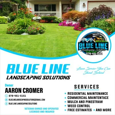 Blue Line Landscaping Solutions Logo