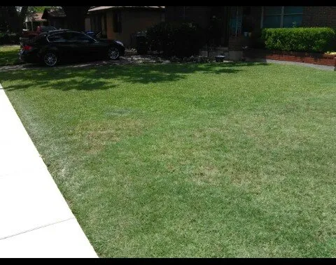 Expert landscape installation experts serving Carrollton, TX - Blue Line Lawn Care