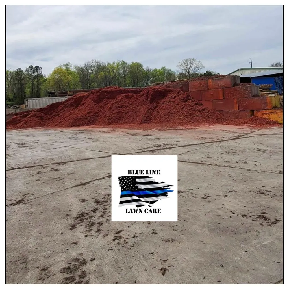 Custom lawn care service for beautiful yards in Dallas, GA by Blue Line Lawn Care