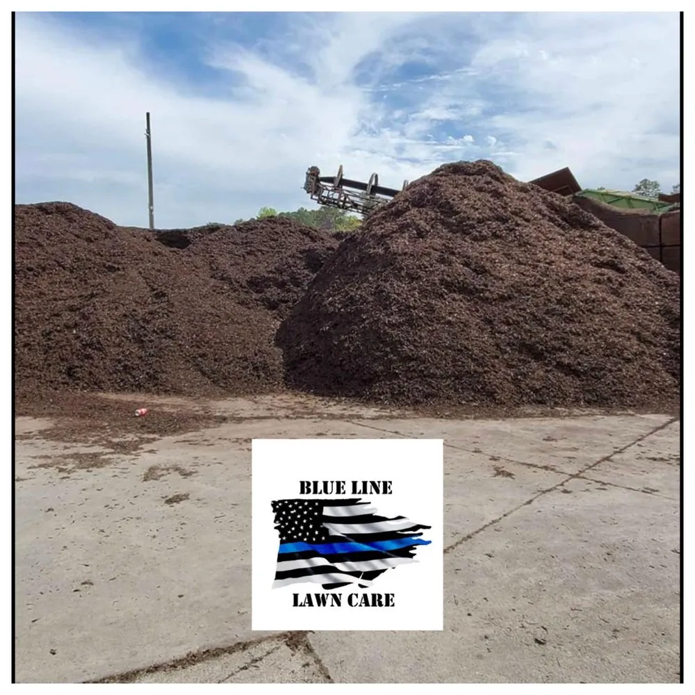 Local landscape design for outdoor upgrades in Dallas, GA by Blue Line Lawn Care