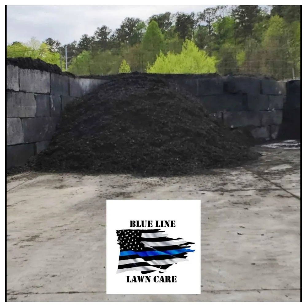 Custom lawn care service for year-round maintenance across Dallas, GA - Blue Line Lawn Care