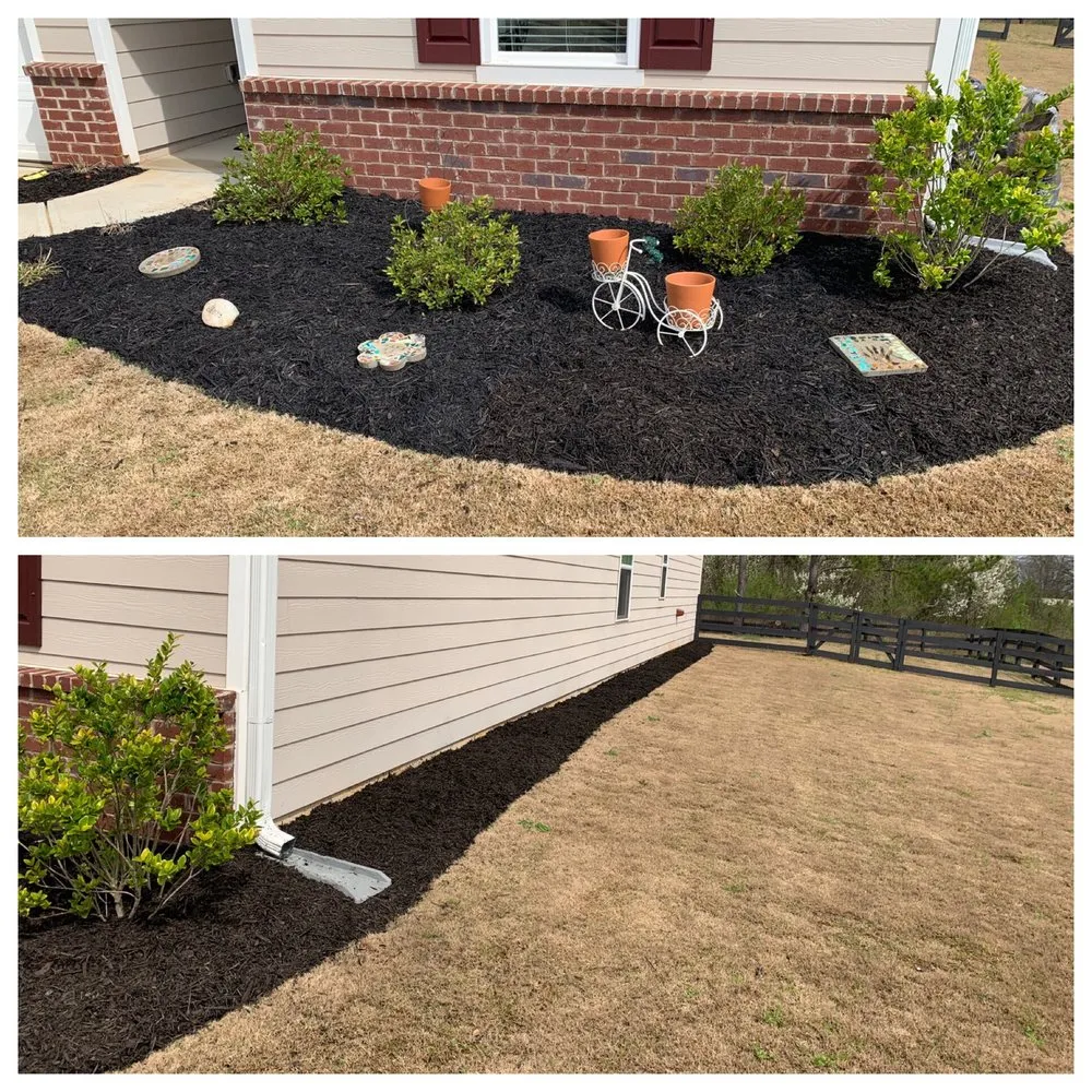 Top-rated residential landscaping in Dallas, GA - Blue Line Lawn Care