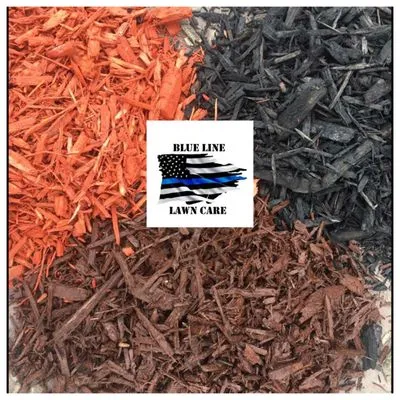 Blue Line Lawn Care Logo