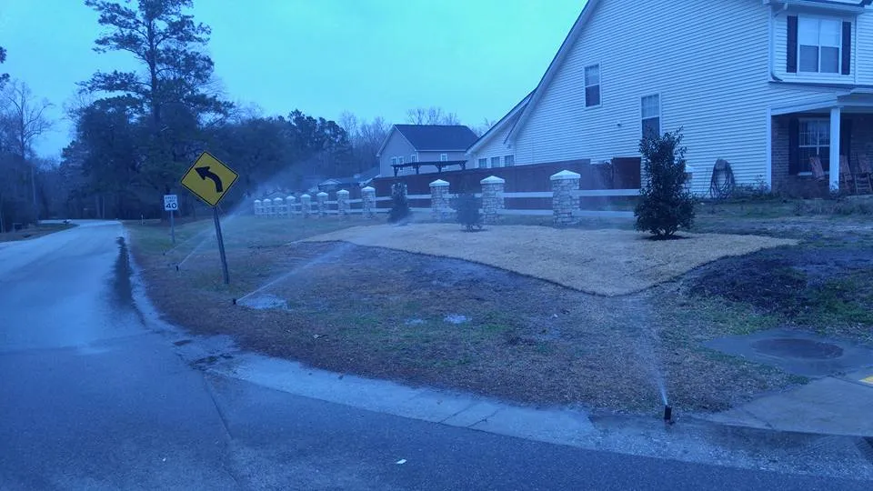 Professional residential landscaping for year-round maintenance across Ladson, SC - Blue Line Lawn Care