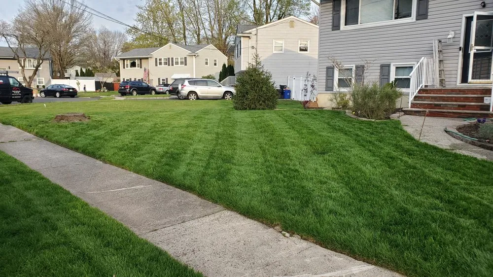 Trusted yard maintenance for year-round maintenance across Middlesex, NJ - Blue Line