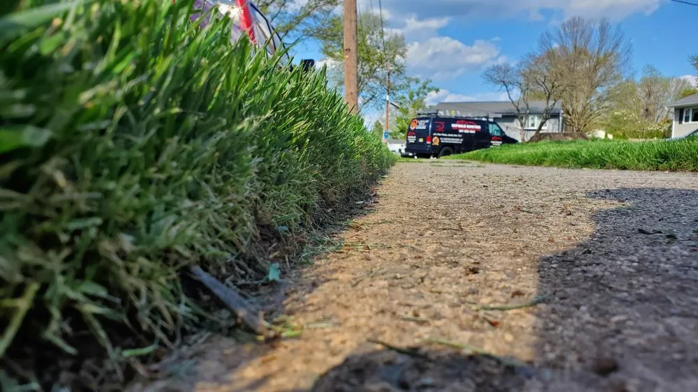 Professional lawn mowing service with custom design across Middlesex, NJ - Blue Line