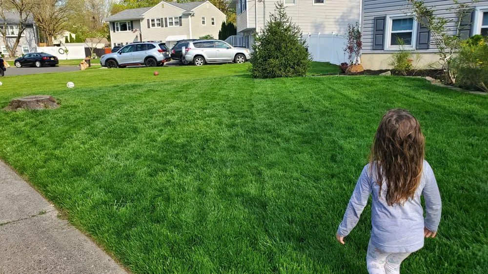 Expert garden landscaping for homes across Middlesex, NJ - Blue Line