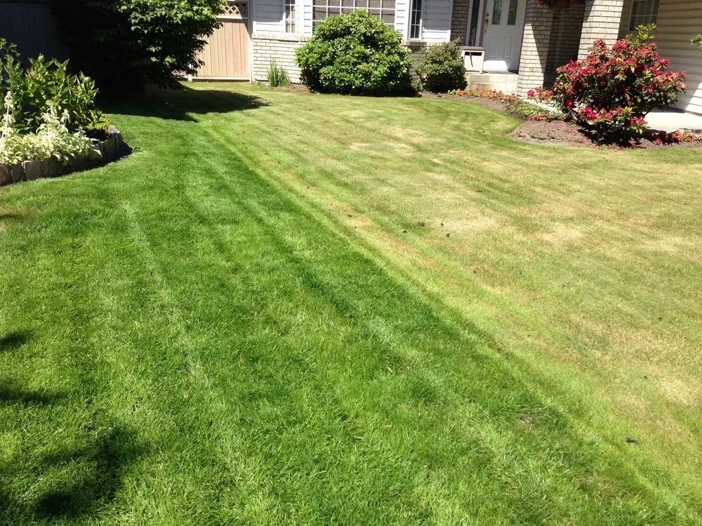 Trusted landscaping services for year-round maintenance across Middlesex, NJ - Blue Line