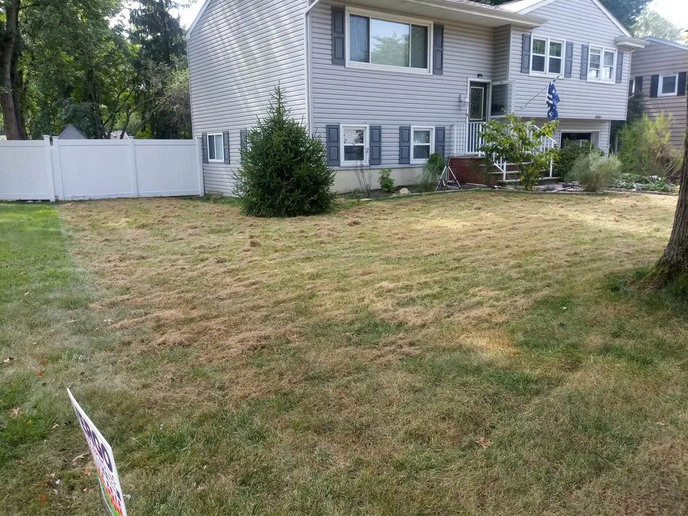 Trusted landscape design in Middlesex, NJ - Blue Line