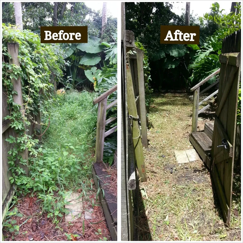 Local yard cleanup service for beautiful yards across Jacksonville, FL - Blue Line Outdoor Services