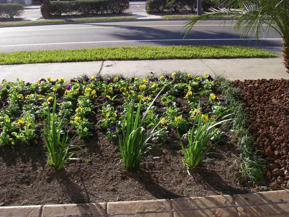 Professional landscape installation in Jacksonville, FL - Blue Line Outdoor Services
