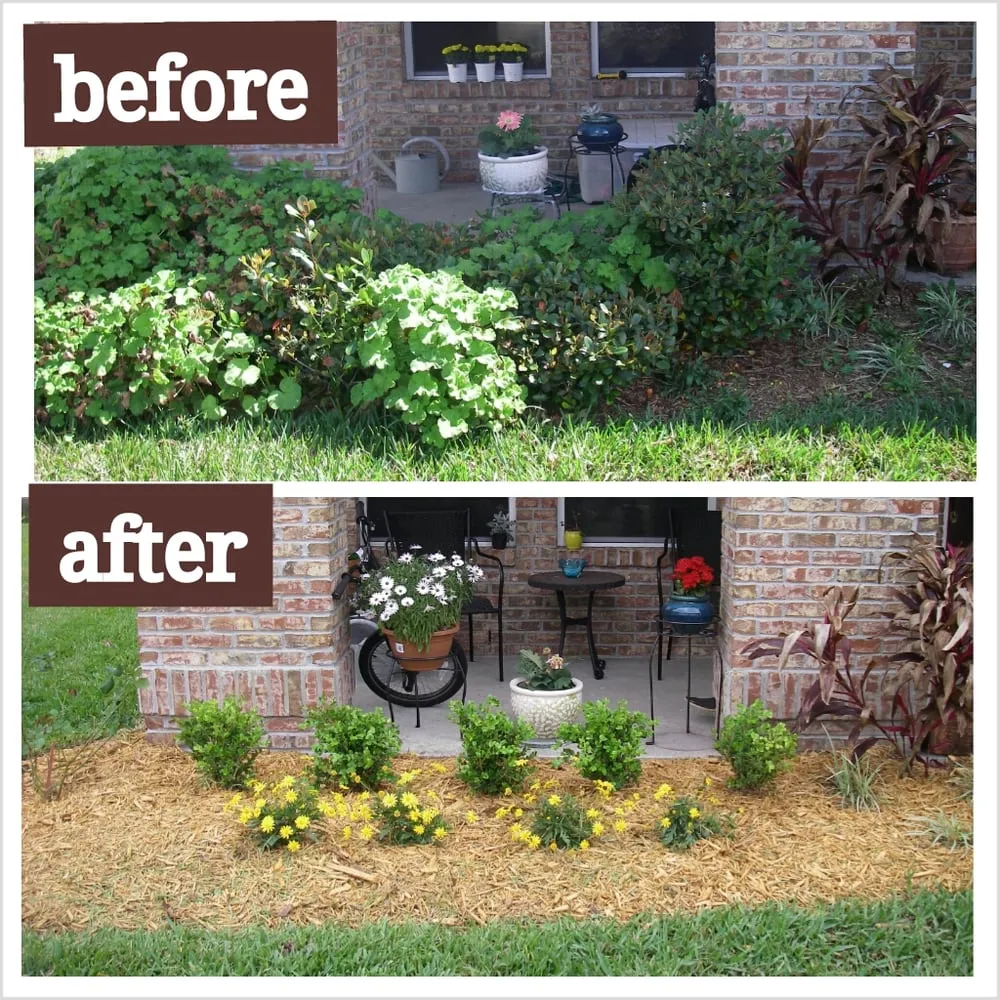 Local landscaping services for beautiful yards across Jacksonville, FL - Blue Line Outdoor Services