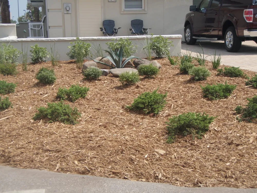 Local outdoor landscaping for outdoor upgrades in Jacksonville, FL by Blue Line Outdoor Services