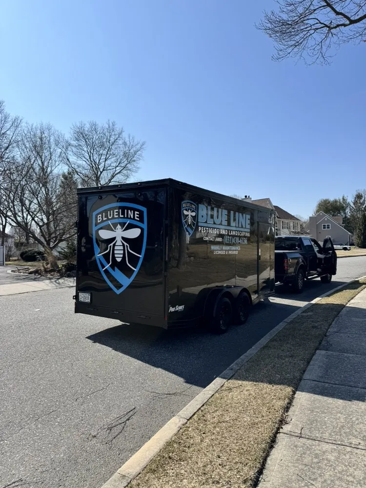 Local lawn mowing service in Patchogue, NY by Blue Line