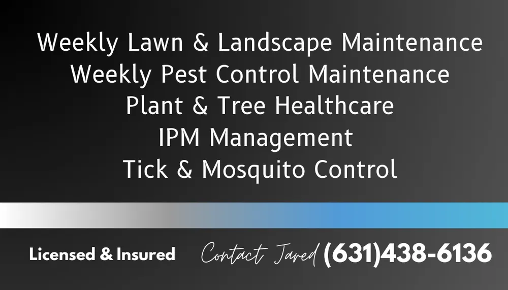 Expert yard maintenance for year-round maintenance in Patchogue, NY by Blue Line