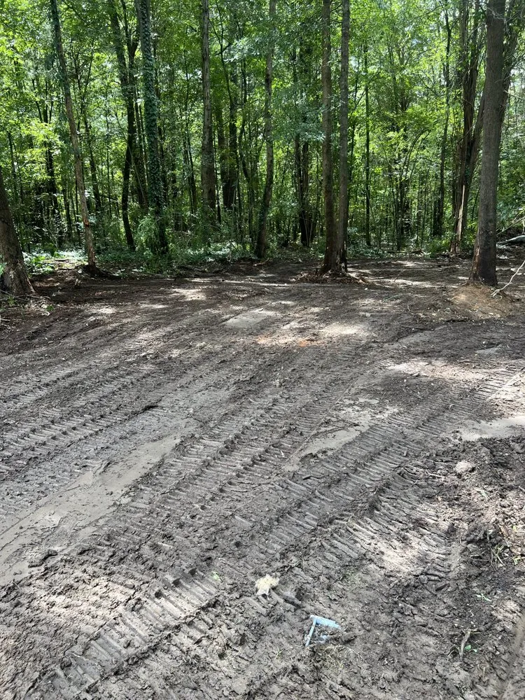 Local garden landscaping experts serving Clifton, SC - Blue Line Services