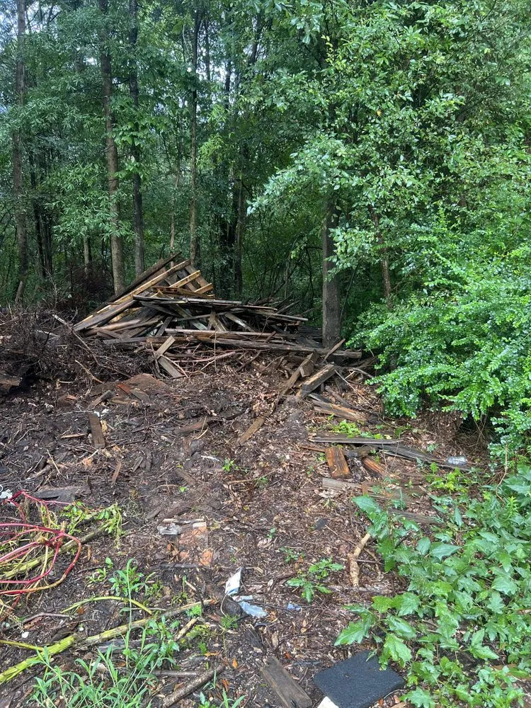 Top-rated lawn care service for homes across Clifton, SC - Blue Line Services