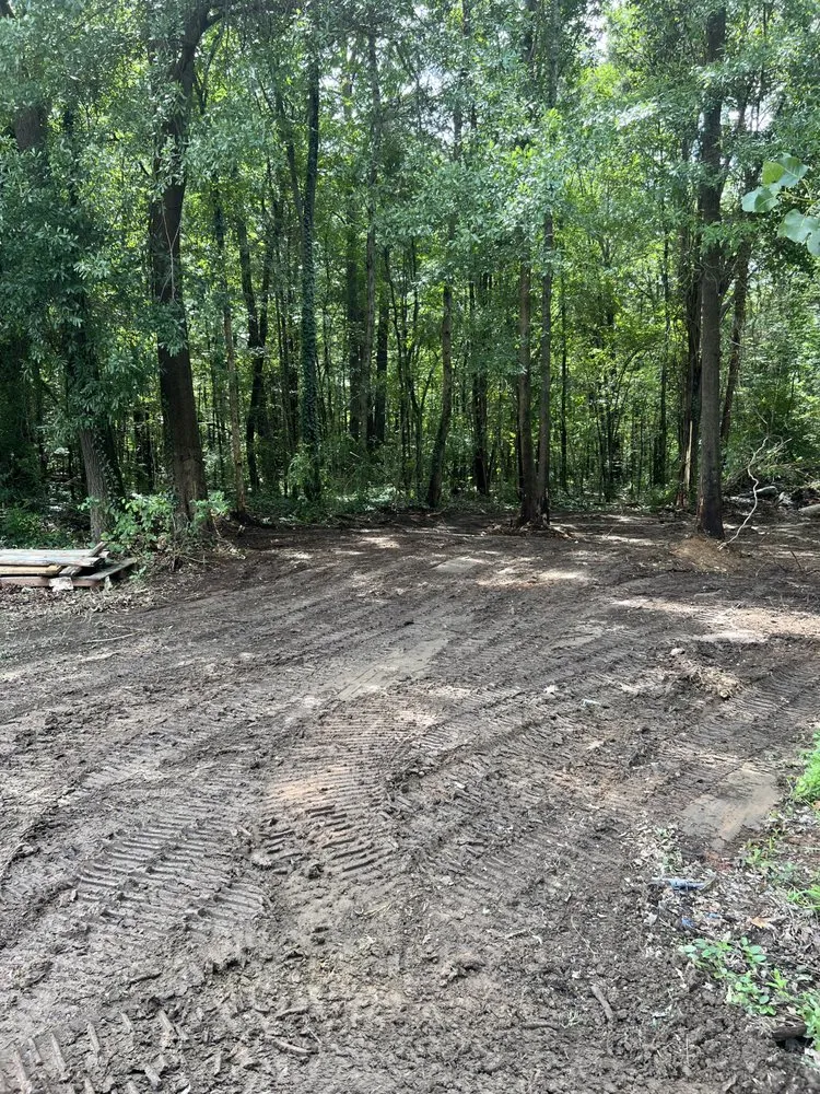 Professional landscaping services for year-round maintenance across Clifton, SC - Blue Line Services