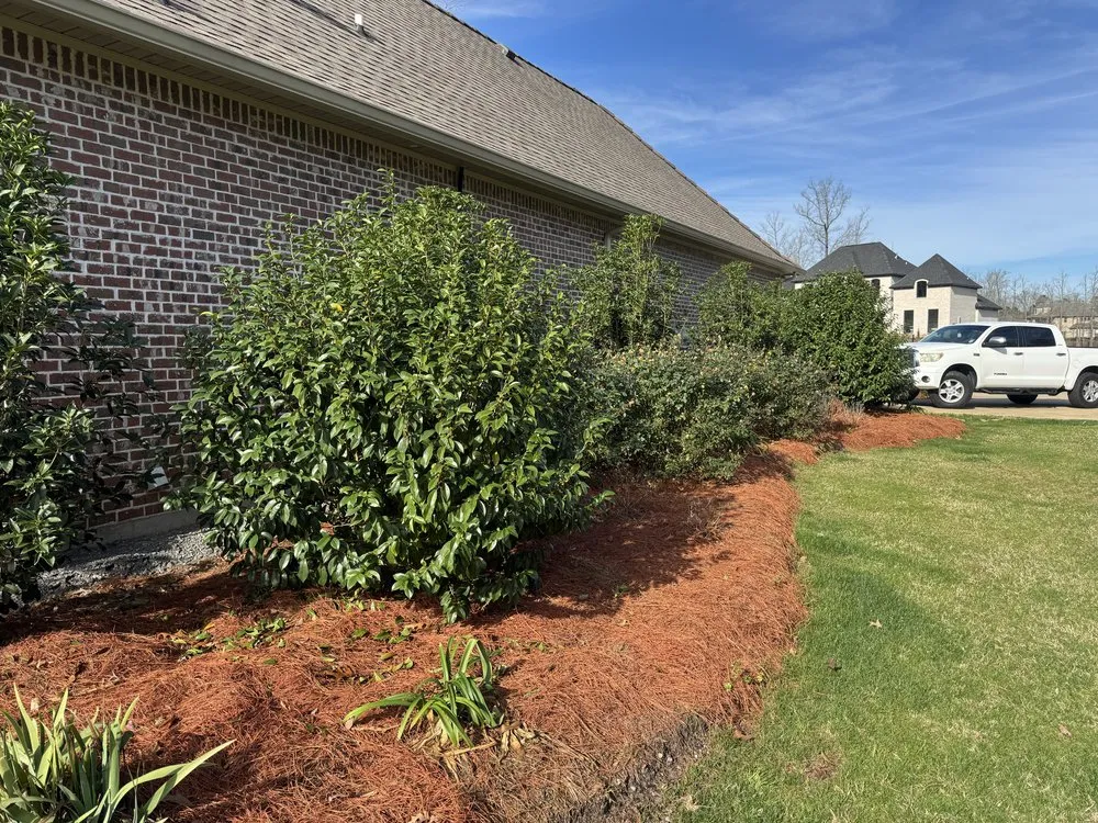 Custom landscape design in Calhoun, LA - Blue Line Yards And Wash
