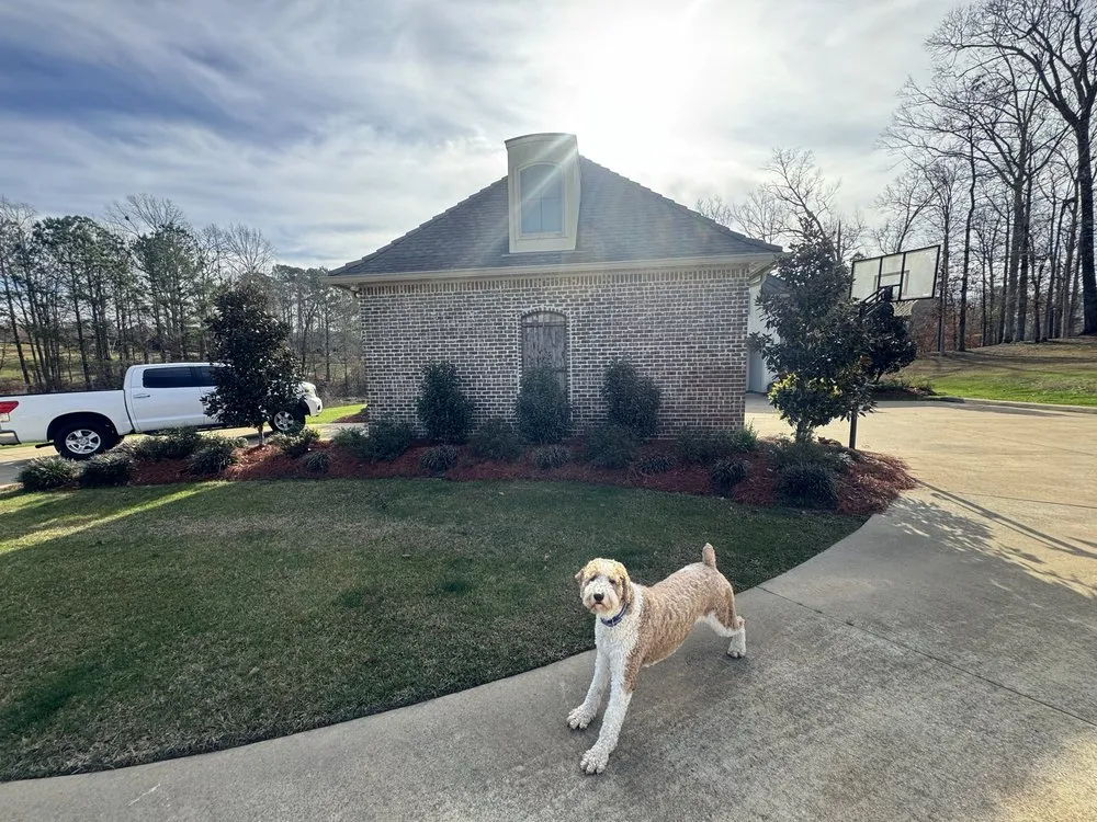 Affordable landscape installation in Calhoun, LA - Blue Line Yards And Wash