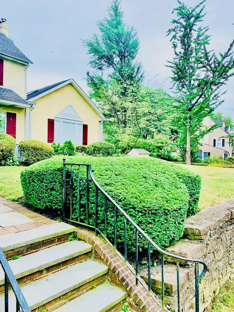 Professional lawn mowing service for homes across Warminster, PA - Blue Lion Landscaping