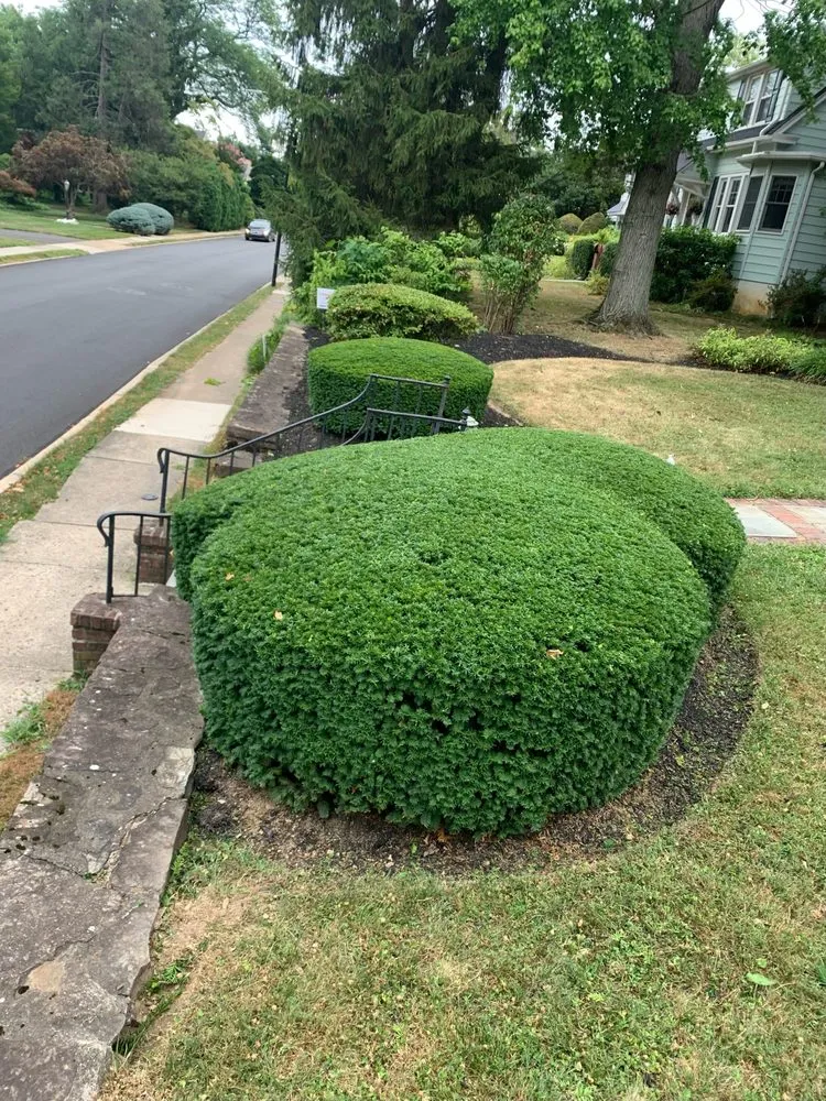 Affordable garden landscaping in Warminster, PA by Blue Lion Landscaping