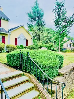 Blue Lion Landscaping Logo