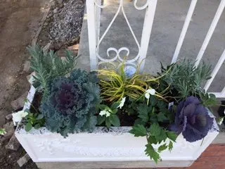 Blue Lizard Landscaping