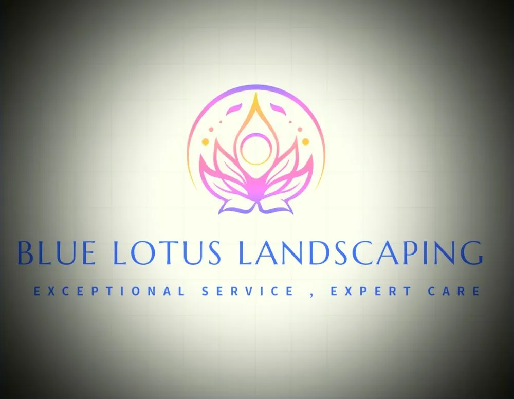 Professional yard cleanup service experts serving Raleigh, NC - Blue Lotus Landscaping & Hauling
