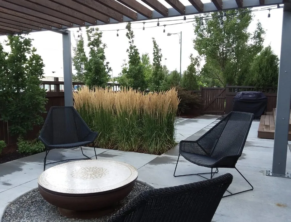 Local yard maintenance for beautiful yards in Denver, CO by Blue Lotus Outdoors