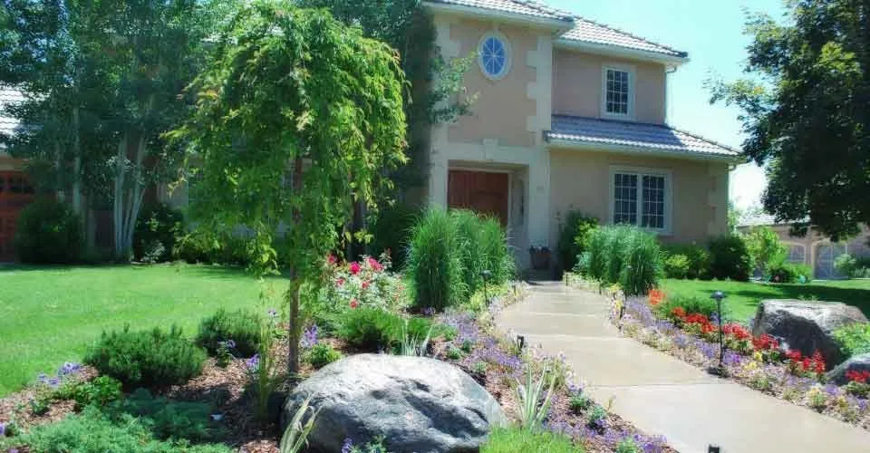Top-rated lawn care service for homes in Denver, CO by Blue Lotus Outdoors