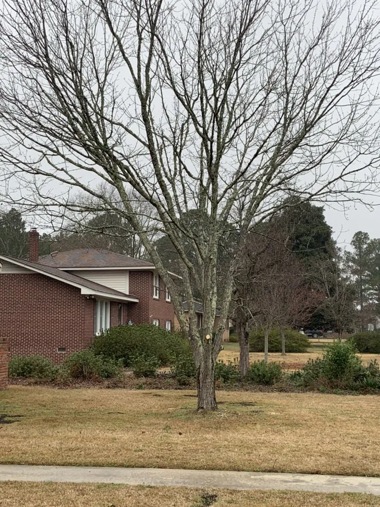 Professional yard maintenance near you in West Columbia, SC by Blue Marlin Landscape