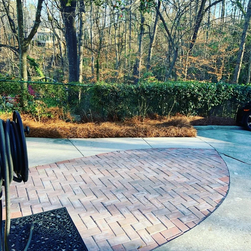 Expert yard cleanup service for beautiful yards in West Columbia, SC by Blue Marlin Landscape