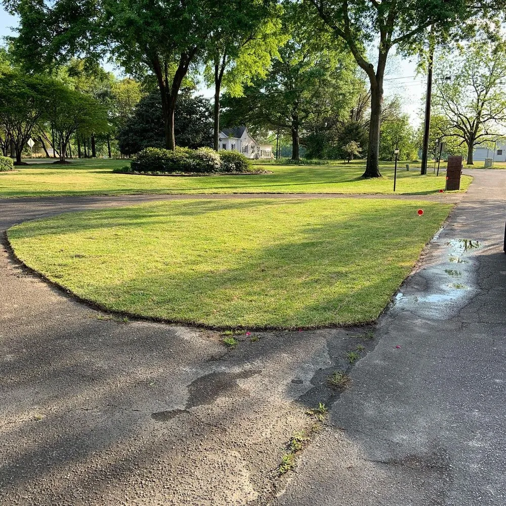 Affordable landscape installation for homes across West Columbia, SC - Blue Marlin Landscape