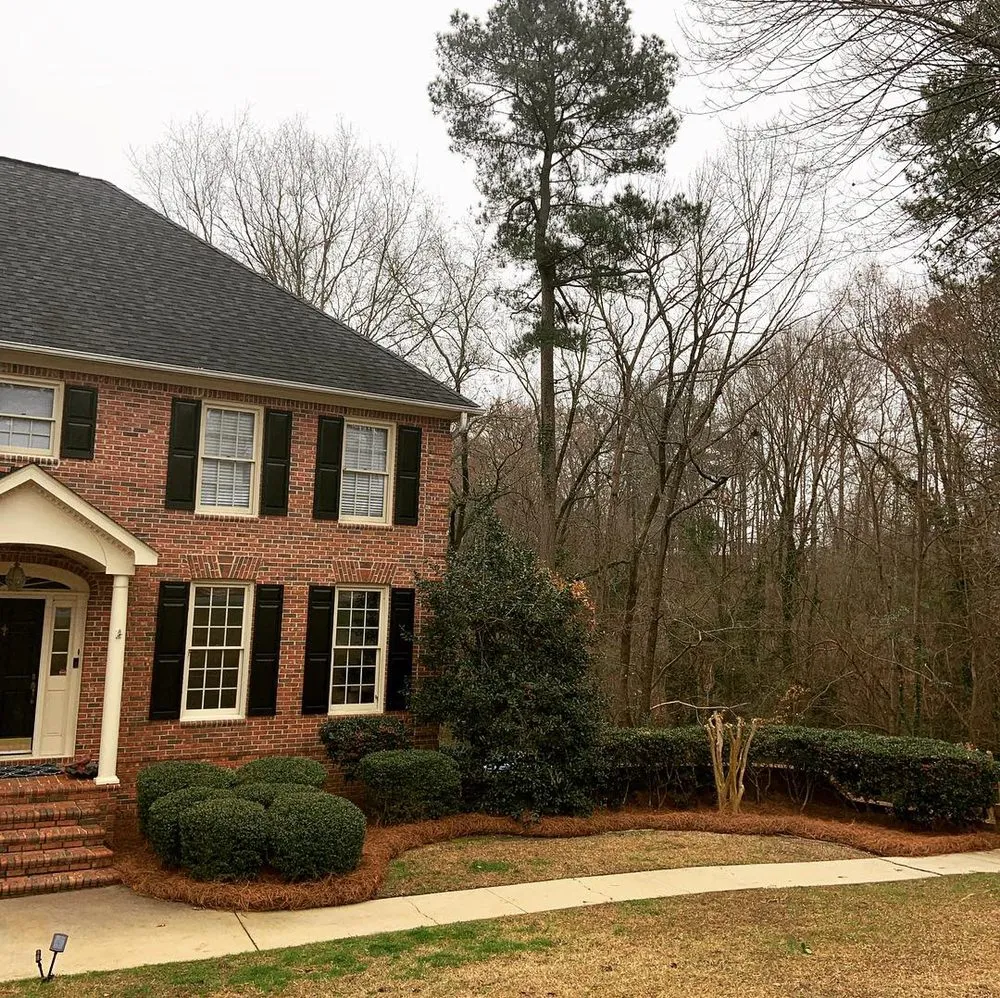 Expert yard cleanup service in West Columbia, SC - Blue Marlin Landscape