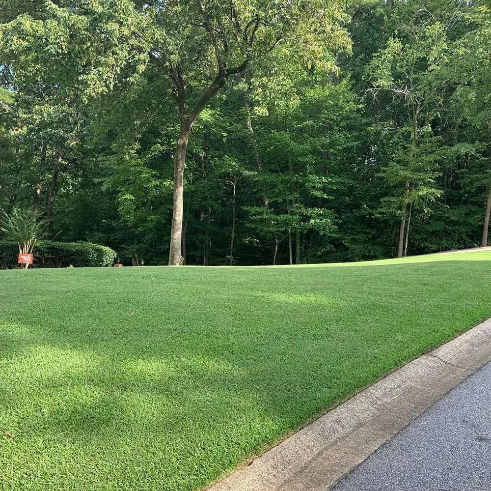 Professional landscape design for beautiful yards across West Columbia, SC - Blue Marlin Landscape