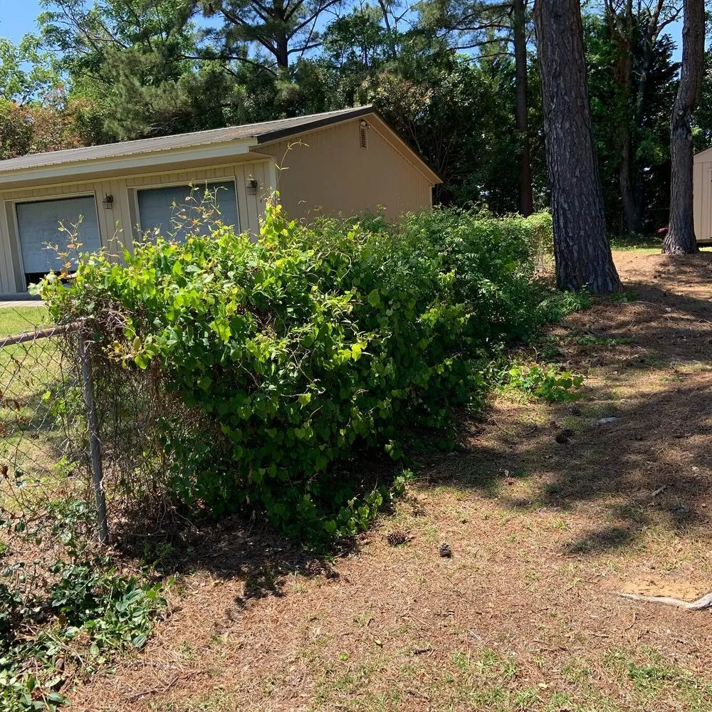 Trusted landscape installation experts serving West Columbia, SC - Blue Marlin Landscape