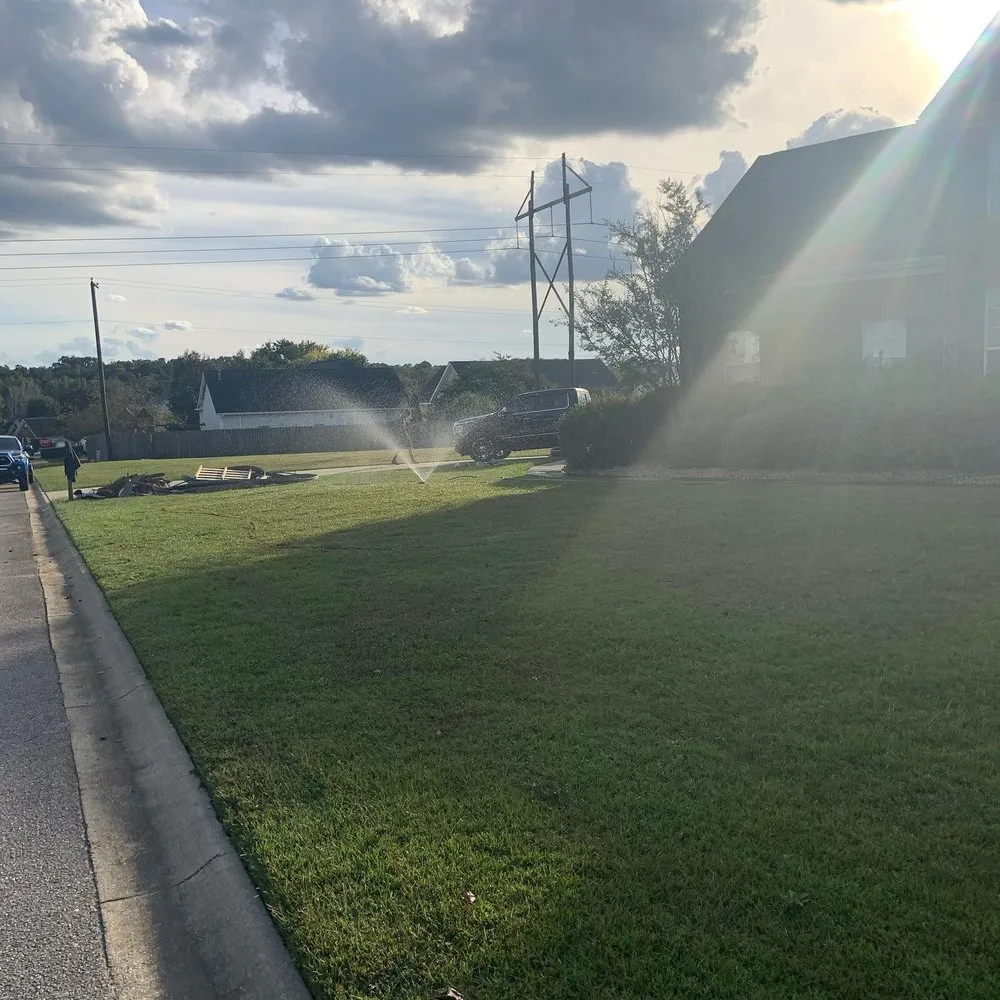 Top-rated lawn care service experts serving West Columbia, SC - Blue Marlin Landscape