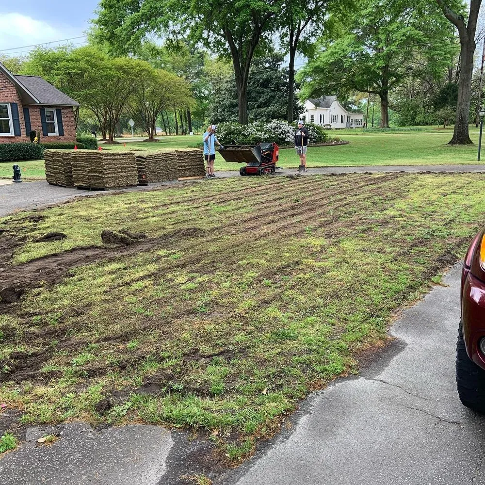 Top-rated lawn care service in West Columbia, SC - Blue Marlin Landscape