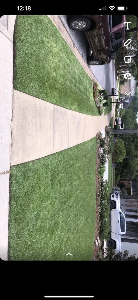 Affordable lawn care service experts serving Mobile, AL - Blue Meadows Lawncare