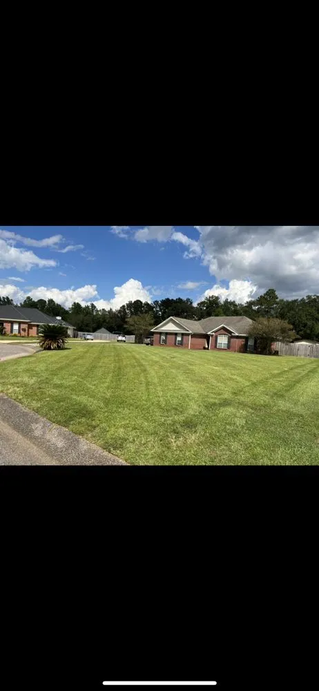 Local yard cleanup service experts serving Mobile, AL - Blue Meadows Lawncare