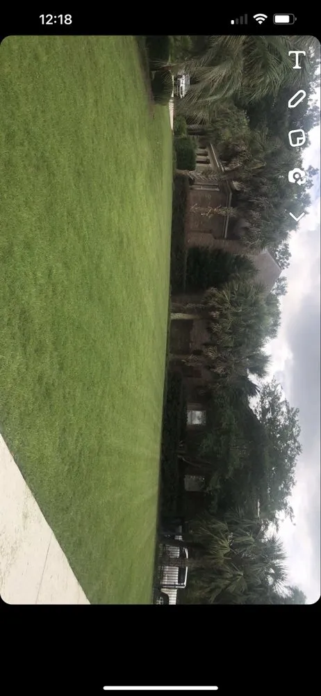 Top-rated landscape installation for homes across Mobile, AL - Blue Meadows Lawncare