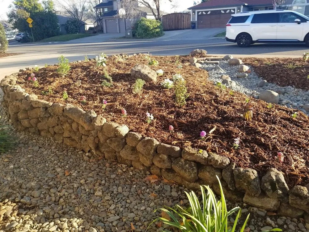 Local garden landscaping in Chico, CA by Blue Moon