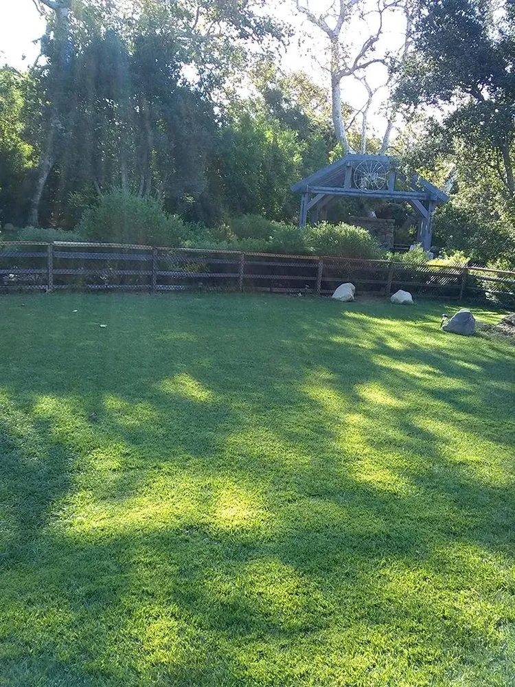 Expert garden landscaping for outdoor upgrades across Santa Barbara, CA - Blue Moon Gardening Maintenance