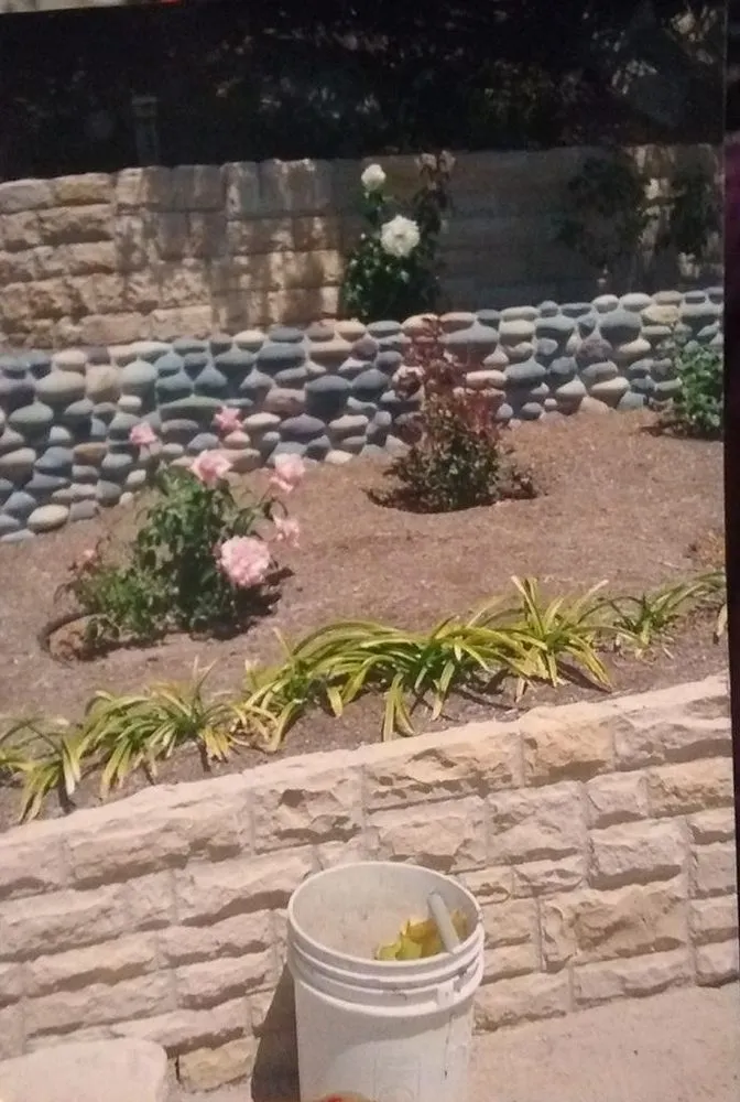 Professional lawn care service for residential properties in Santa Barbara, CA by Blue Moon Gardening Maintenance