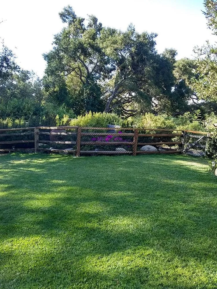 Professional residential landscaping in Santa Barbara, CA by Blue Moon Gardening Maintenance