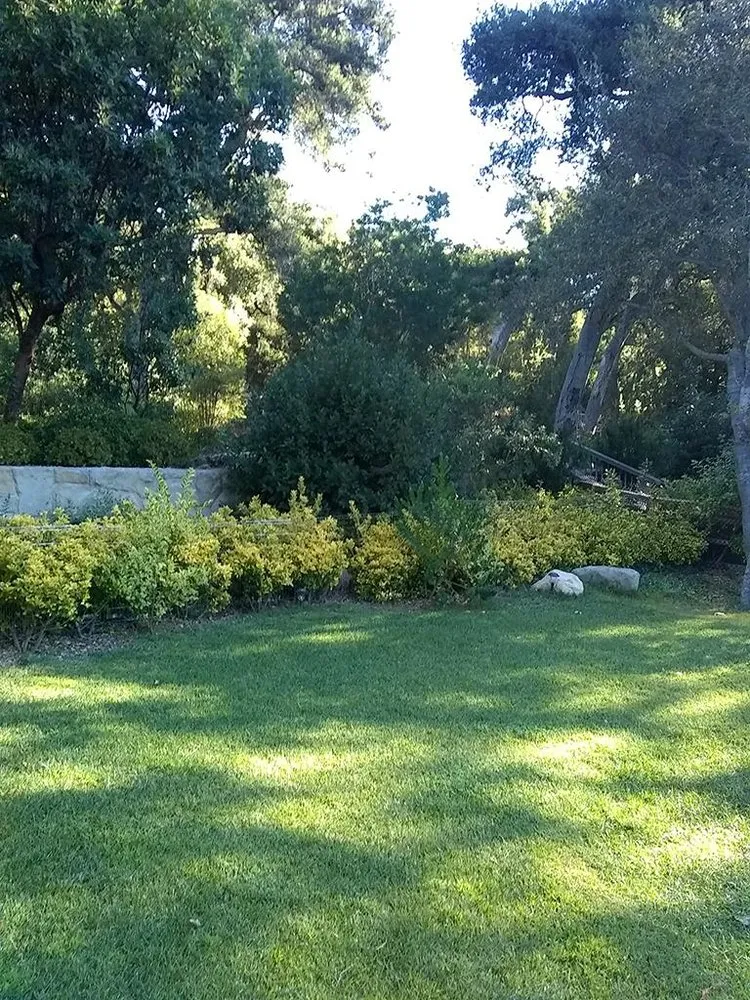 Trusted outdoor landscaping in Santa Barbara, CA - Blue Moon Gardening Maintenance