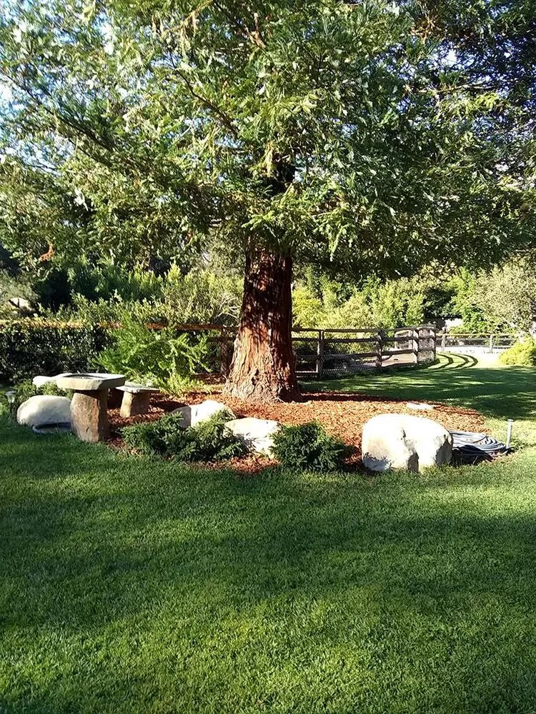 Reliable outdoor landscaping in Santa Barbara, CA by Blue Moon Gardening Maintenance