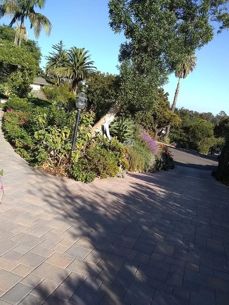 Professional yard cleanup service experts serving Santa Barbara, CA - Blue Moon Gardening Maintenance