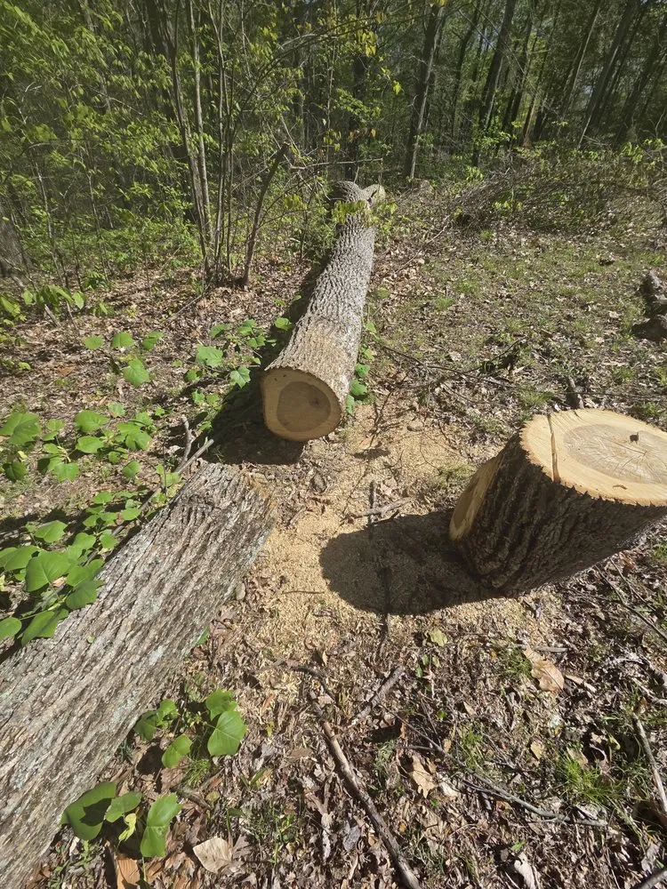 Reliable landscaping services in Normandy, TN by Blue Moose Lawncare